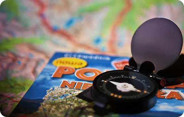 라이브스코어사이트 실시간 점수 확인하기