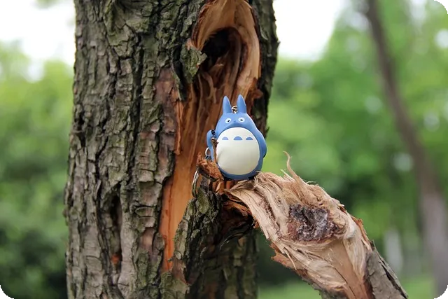 토토스포츠 합법 도박의 모든 것