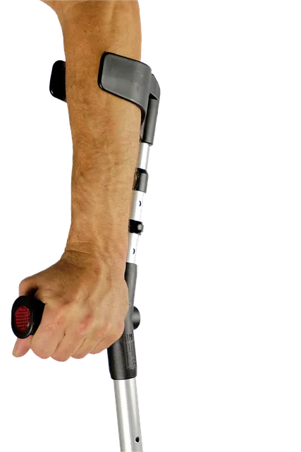 프로토분석 배구 농구 빅매치 분석의 모든 것