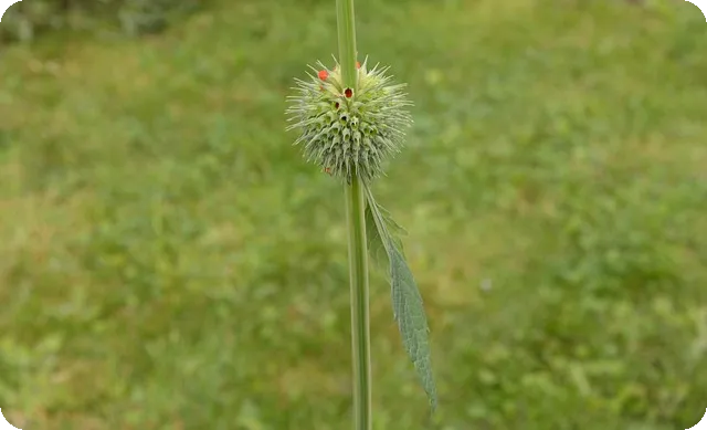대한민국축구, 코트디부아르 전 대패 이유는?