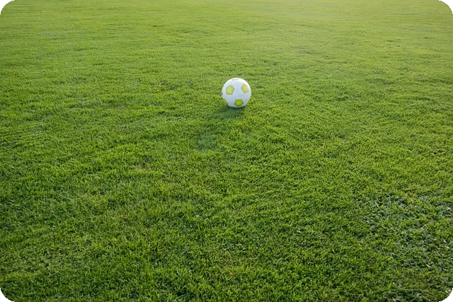 축구경기 대한민국 대표팀 친선경기 일정은?